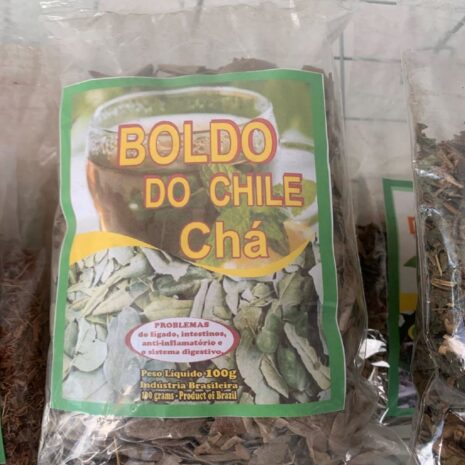 Boldo-do-chile.jpg